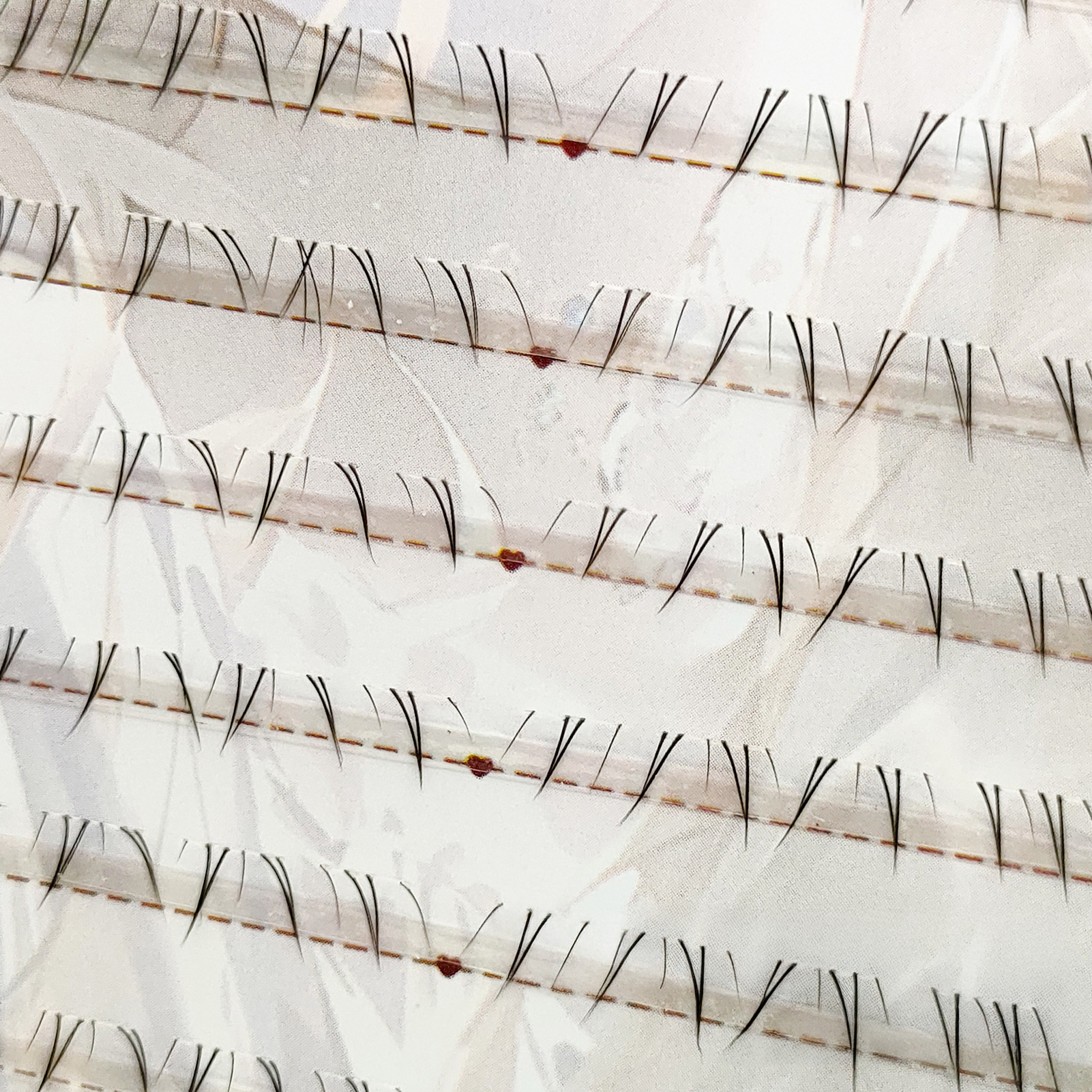 Soft Manga Bottom Lower Eyelas – Eyelash Extensions recenzja i cena